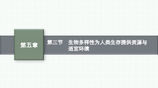 浙科版高中生物必修第2册 第五章 第三节 生物多样性为人类生存提供资源与适宜环境