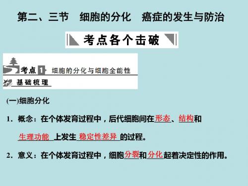 高中生物细胞的分化、癌症的发生与防治PPT 中图版