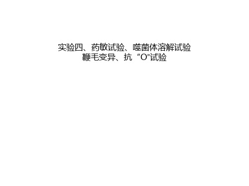 微生物学实验四、鞭毛变异、噬菌体溶解试验、药敏试验,(抗“O”试验 ) ”