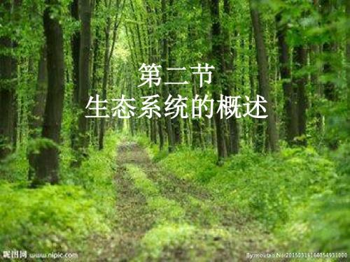 北师大版八年级生物下册23.2 生态系统的概述 (共14张PPT)