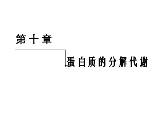 生物化学:第 十 章 蛋白质的分解代谢