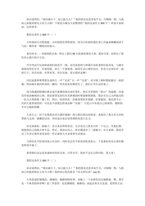 我的兄弟作文600字