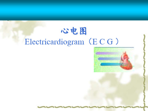 心电图详解PPT课件