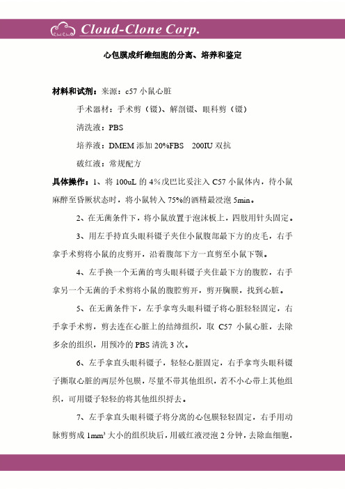 心包膜成纤维细胞原代培养报告---细胞定制案例