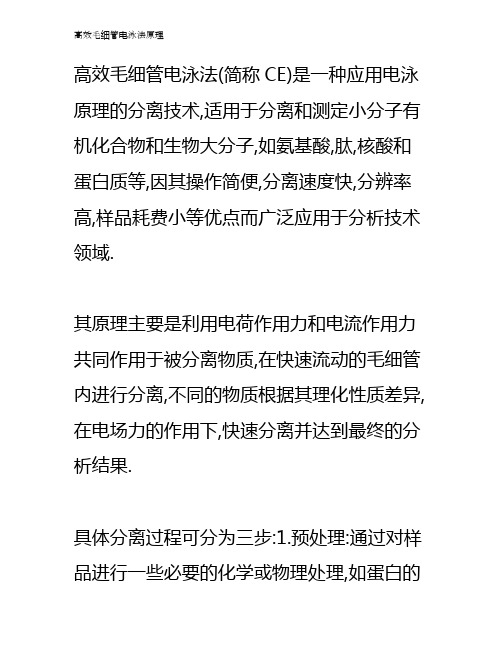 高效毛细管电泳法原理