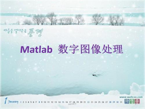 Matlab图像处理教程及方法  ppt课件