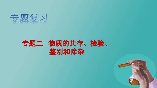 2025年中考化学复习专题二：物质的共存、检验、鉴别和除杂课件