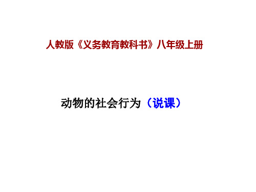 初中生物人教版社会行为_精品课件1