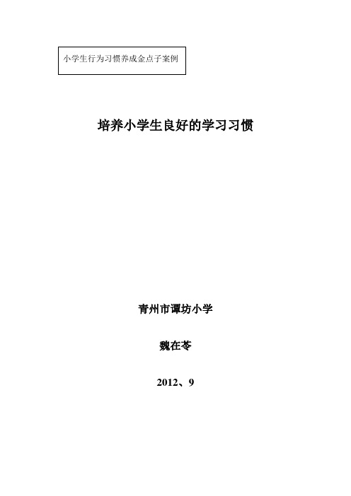 金点子案例--魏在苓