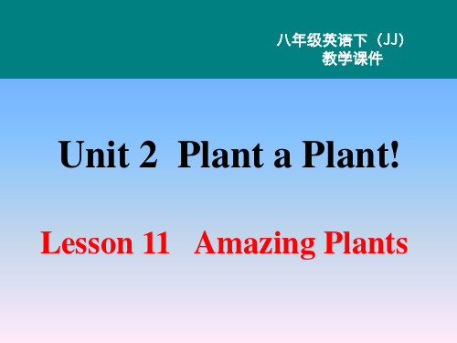 冀教版英语八年级下册课件-Unit 2 Lesson 11课件