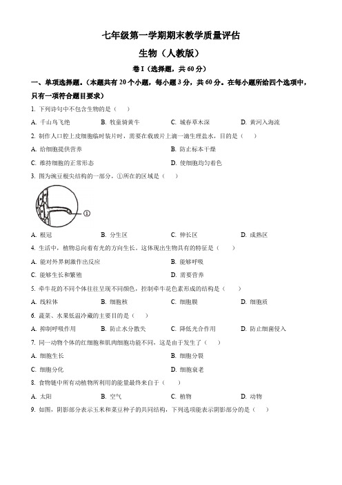 沧州市海兴县2022-2023学年七年级上学期期末生物试题