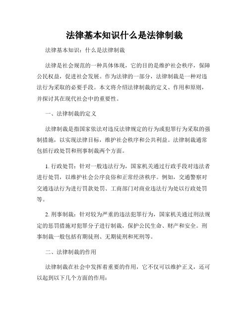 法律基本知识什么是法律制裁