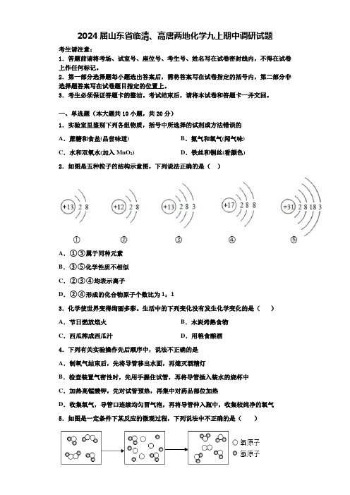 2024届山东省临清、高唐两地化学九上期中调研试题含解析