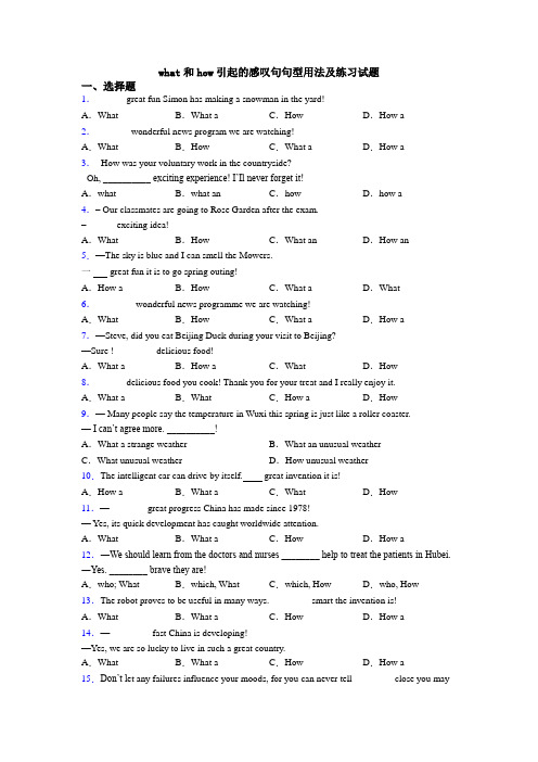 what和how引起的感叹句句型用法及练习试题