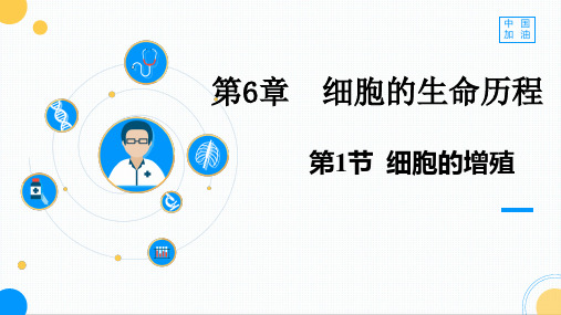 新教材《细胞的增殖》ppt公开课课件人教版1