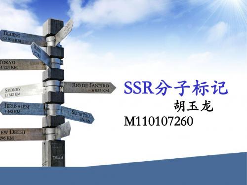 SSR分子标记