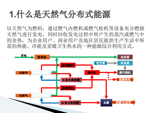 分布式能源简介共17页