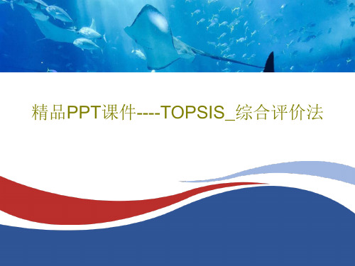 精品PPT课件----TOPSIS_综合评价法45页PPT