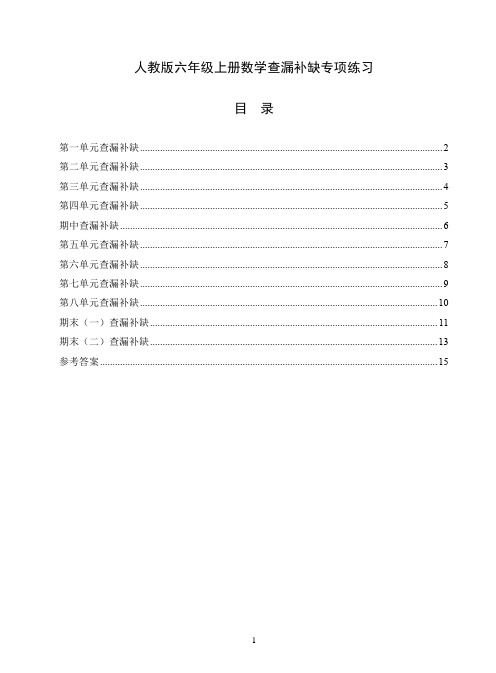 人教版六年级上册数学查漏补缺专项练习