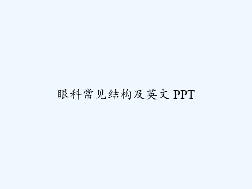 眼科常见结构及英文 PPT