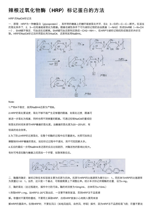 辣根过氧化物酶（HRP）标记蛋白的方法