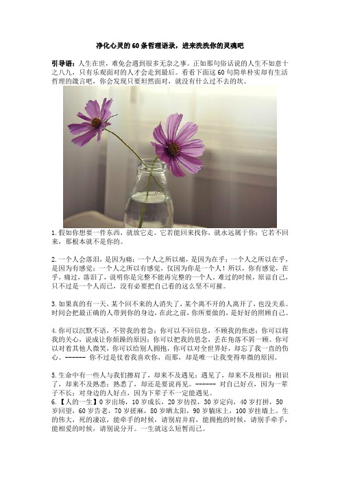 净化心灵的60条哲理语录,进来洗洗你的灵魂吧