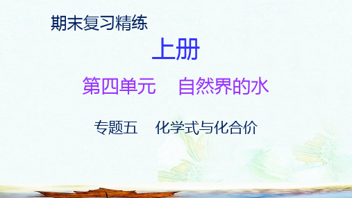九年级化学上册期末复习精炼第四单元自然界的水专题五化学式与化合价课件新版新人教版ppt课件