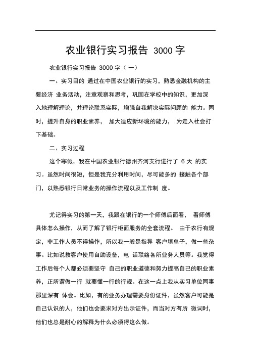 农业银行实习报告3000字[范本]