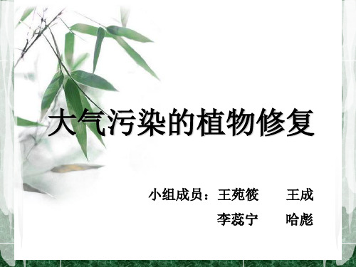 大气污染的植物修复,第六组