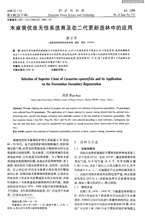 木麻黄优良无性系选育及在二代更新造林中的应用