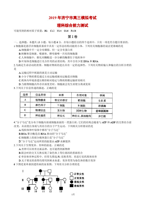 2019届山东省济宁市高三理科综合试题