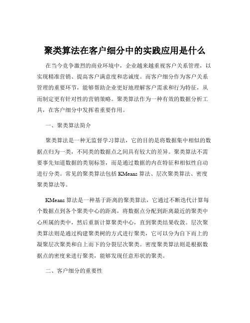 聚类算法在客户细分中的实践应用是什么