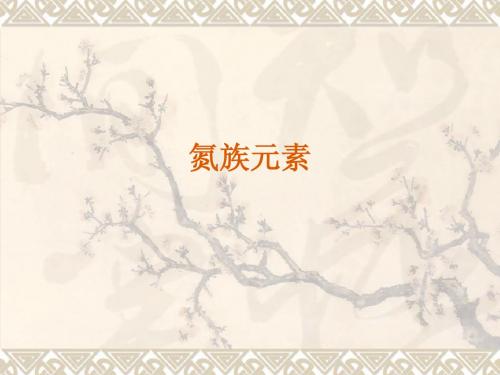 氮族元素高三复习