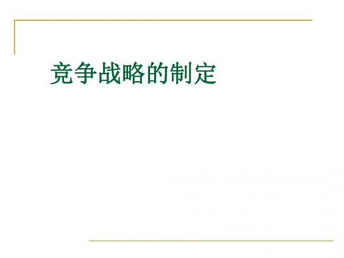 战略管理竞争战略的制定