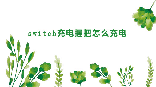 switch充电握把怎么充电