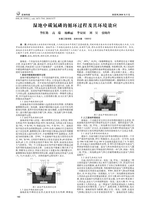 湿地中碳氮磷的循环过程及其环境效应