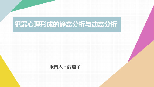 专题二：薛应翠-犯罪的静态和动态分析分解