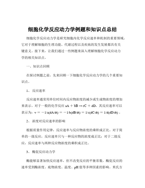 细胞化学反应动力学例题和知识点总结