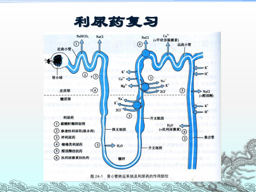 抗高血压药PPT课件