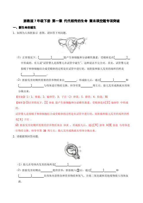 第一章 代代相传的生命 章末填空题专项突破-2023-2024学年七年级科学下册章末专项突破