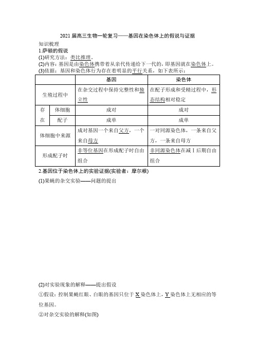 2021届高三生物一轮复习——基因在染色体上的假说与证据