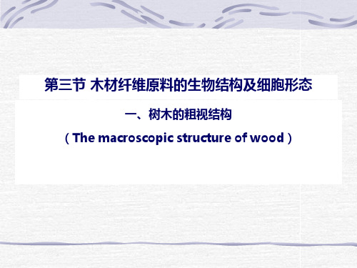 木材纤维原料的生物结构及细胞形态