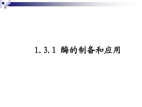 苏教版选修1 酶的制备和应用 课件(19张)