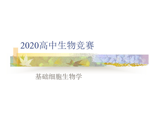 2020高中生物竞赛—细胞生物学基础06内质网和核糖体(共74张PPT)