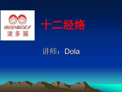 十二经络