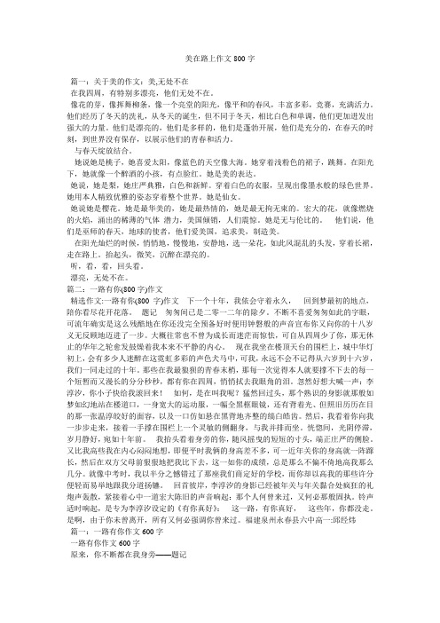 美在路上作文800字精选