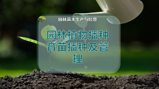 园林植物播种育苗-播种及管理