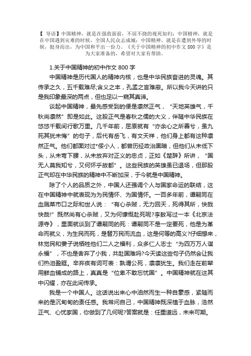 关于中国精神的初中作文800字