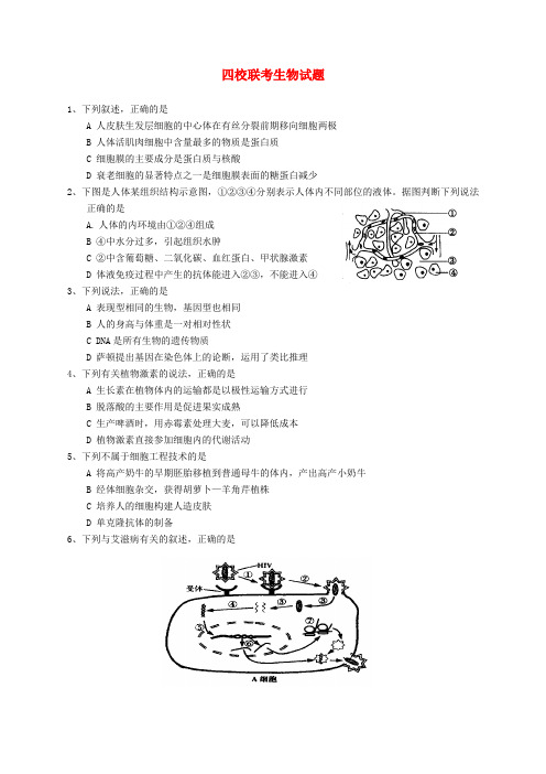 广东省华附、省实、广雅、深中四校高三生物上学期期末联考试题新人教版