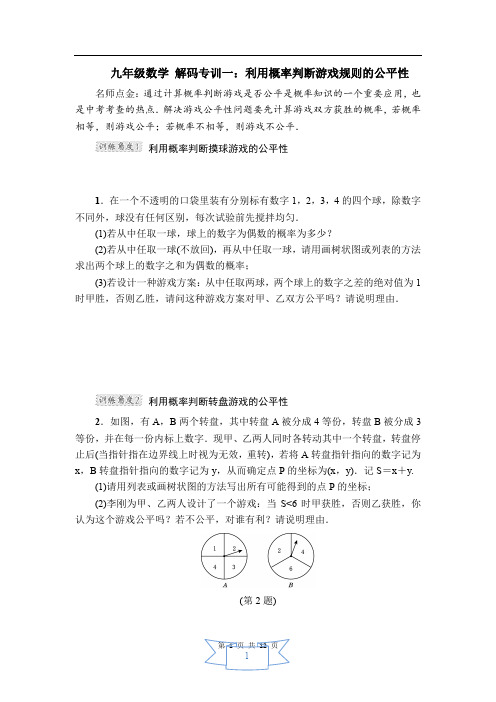 九年级数学 解码专训(1)